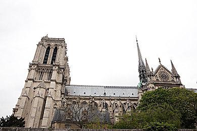 《魔兽世界》社区重新在网易大神上线 停服通知已删除